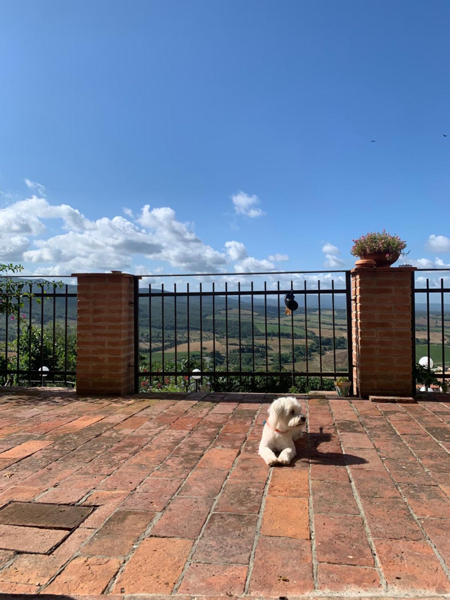 Casa Cerboneschi Bed & Breakfast Casale Marittimo Dış mekan fotoğraf