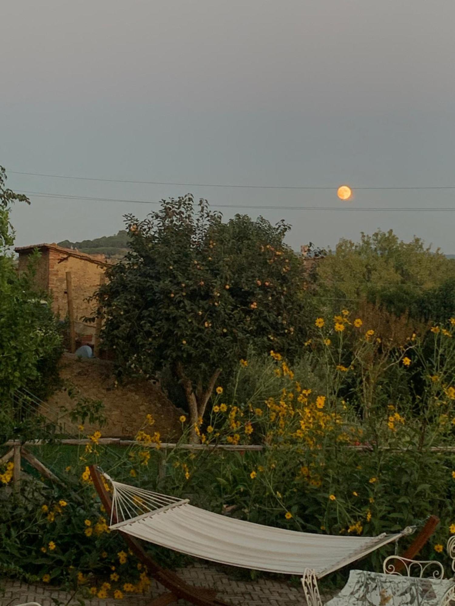 Casa Cerboneschi Bed & Breakfast Casale Marittimo Dış mekan fotoğraf