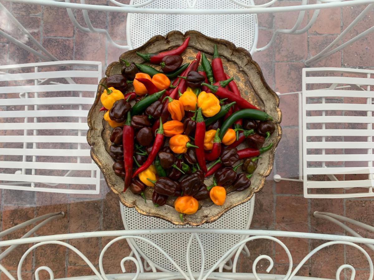 Casa Cerboneschi Bed & Breakfast Casale Marittimo Dış mekan fotoğraf