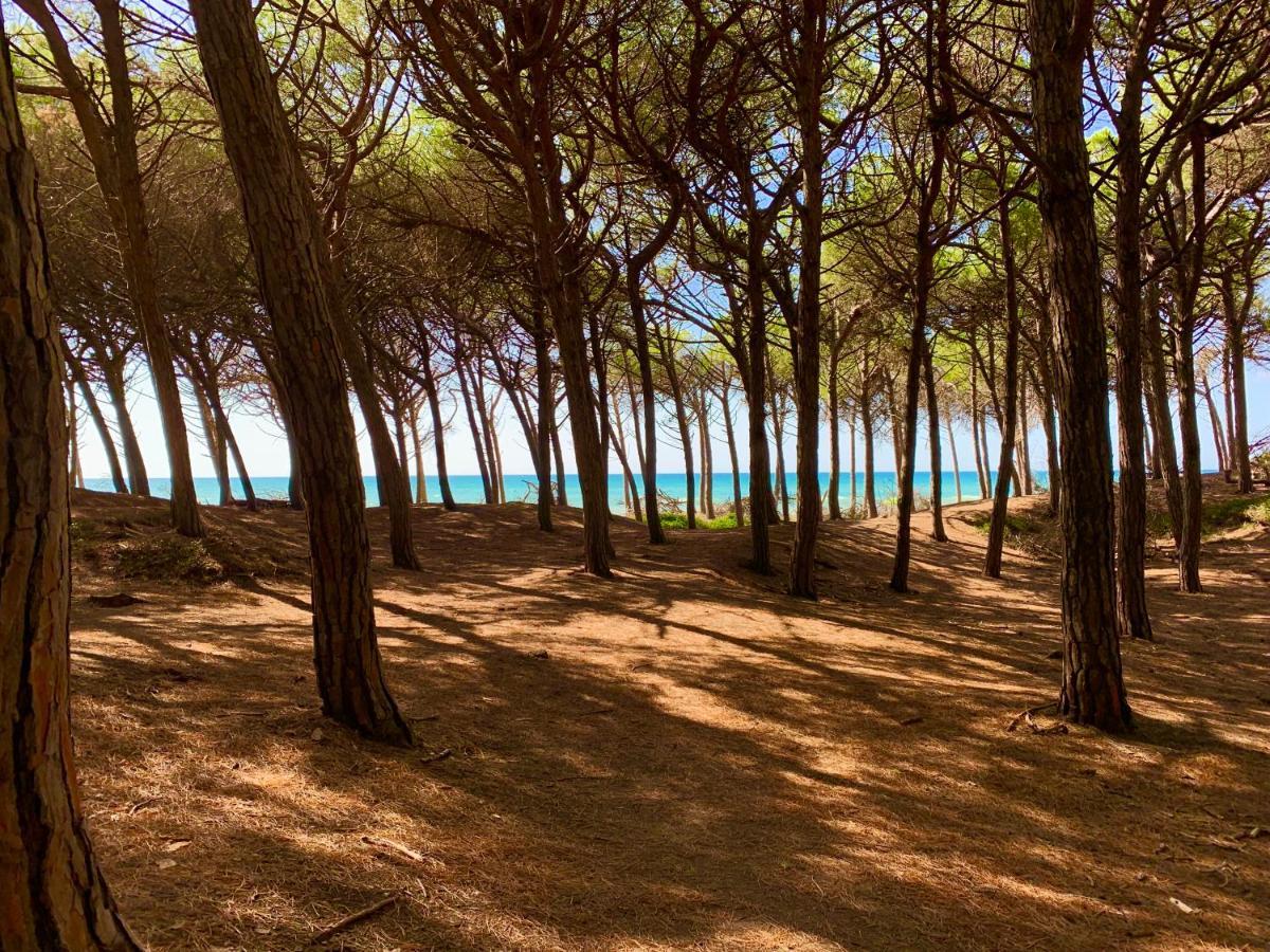 Casa Cerboneschi Bed & Breakfast Casale Marittimo Dış mekan fotoğraf